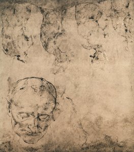 Study for a Head by Michelangelo Buonarroti